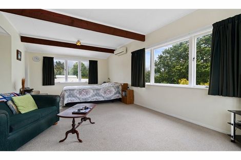 Photo of property in 15 Carlyle Street, Te Aroha, 3320