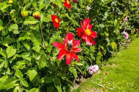 Photo of property in 65 Mcleod Street, Elderslea, Upper Hutt, 5018