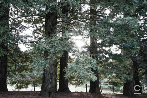 Photo of property in 104 Crawford Road, Minden, Tauranga, 3171