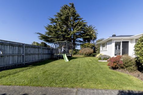 Photo of property in 151 Limbrick Street, Terrace End, Palmerston North, 4410