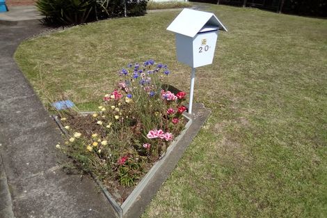 Photo of property in 20 Cherrywood Drive, Otumoetai, Tauranga, 3110