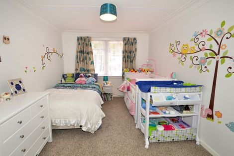 Photo of property in 263 Taieri Road, Wakari, Dunedin, 9010