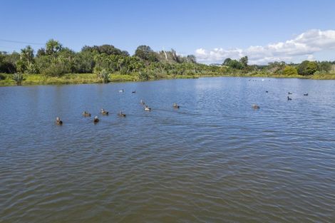 Photo of property in 2195d State Highway 2, Aongatete, Katikati, 3181