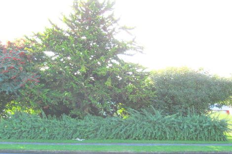 Photo of property in 54 Baird Road, Tokoroa, 3420