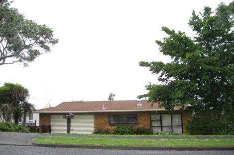 Photo of property in 41 Green Lane, Pukekohe, 2120