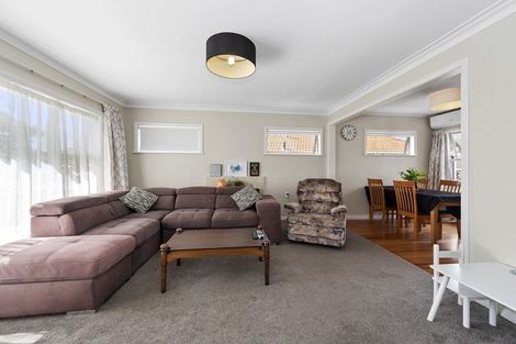 Photo of property in 100 Clarkin Road, Fairfield, Hamilton, 3214