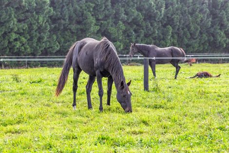 Photo of property in 1/524 Weedons Road, Rolleston, Christchurch, 7678