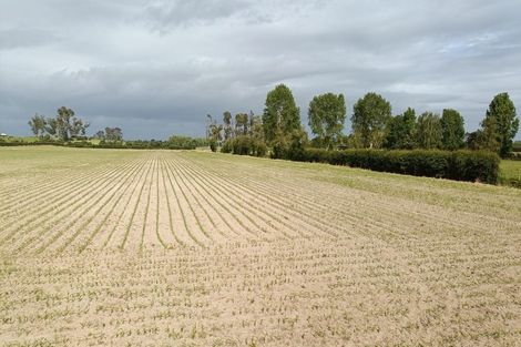 Photo of property in 53 Friedlander Road, Eureka, Hamilton, 3287