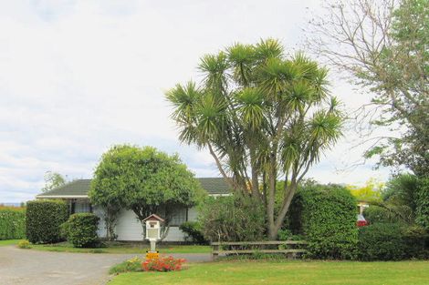 Photo of property in 12 Alexander Street, Katikati, 3129