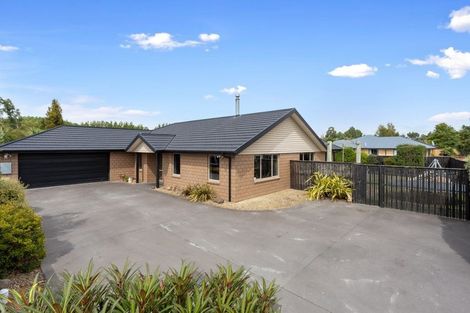 Photo of property in 15 Auckland Street, Ashley, Rangiora, 7477