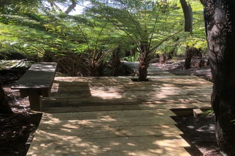 Photo of property in 455 Tuateawa Road, Tuateawa, Coromandel, 3583