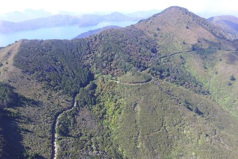 Photo of property in 1489 Te Towaka - Port Ligar Road, Admiralty Bay, French Pass, 7193