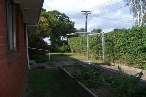 Photo of property in 78a Sixth Avenue, Tauranga, 3110