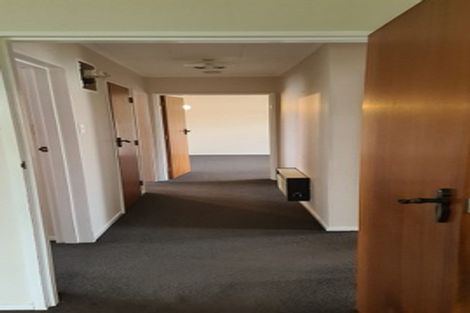 Photo of property in 217e Ruahine Street, Roslyn, Palmerston North, 4414