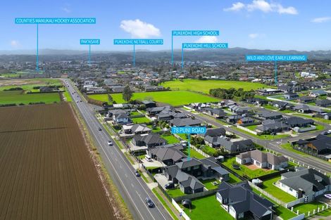 Photo of property in 78 Puni Road, Pukekohe, 2120