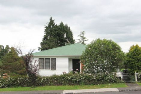 Photo of property in 14 Gilchrist Street, Te Aroha, 3320