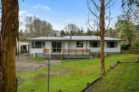 Photo of property in 30 Freyberg Crescent, Putaruru, 3411