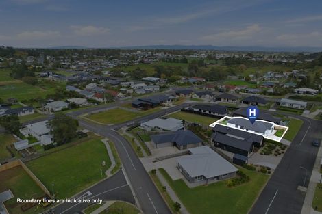 Photo of property in 10 Oranmore Crescent, Paeroa, 3600