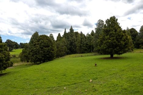 Photo of property in 93 Station Road, Kaikohe, 0474