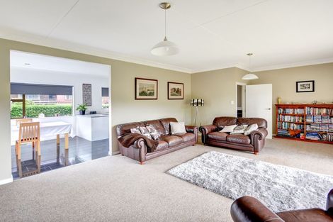 Photo of property in 20 Lynas Street, Outram, 9019