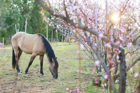 Photo of property in 65 Butterfield Road, Hawea Flat, 9382