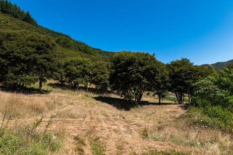 Photo of property in 130 Maori Pa Road, Delaware Bay, Nelson, 7071