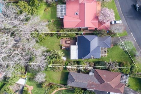 Photo of property in 14 Korau Road, Greenlane, Auckland, 1051