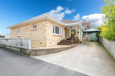 Photo of property in 17 Carey Street, Maeroa, Hamilton, 3200