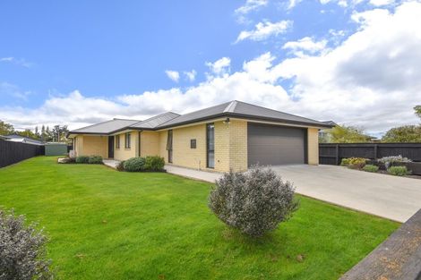 Photo of property in 16 Cross Street, Milton, 9220