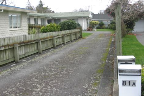 Photo of property in 81a Winchester Street, Levin, 5510