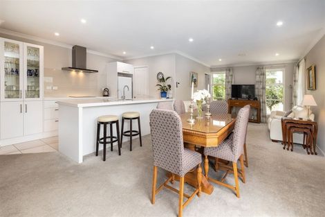 Photo of property in 217 Taylor Pass Road, Witherlea, Blenheim, 7201