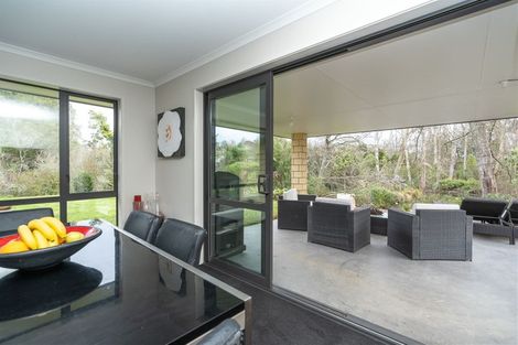 Photo of property in 414 Matangi Road, Matangi, Hamilton, 3284