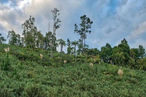 Photo of property in 2448 Hunua Road, Hunua, Papakura, 2583