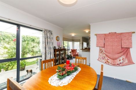 Photo of property in 101 Lincoln Street, Ashhurst, 4810