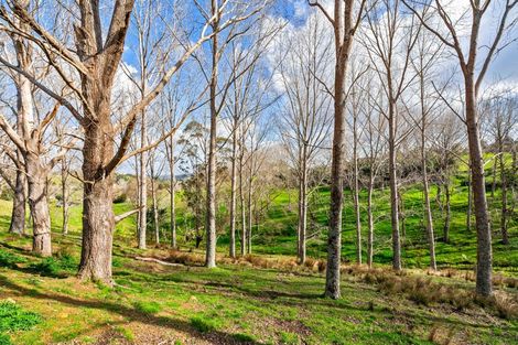 Photo of property in 260b Awaroa River Road, Abbey Caves, Whangarei, 0110