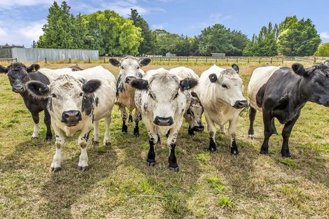 Photo of property in 305 Newtons Road, Rolleston, Christchurch, 7675