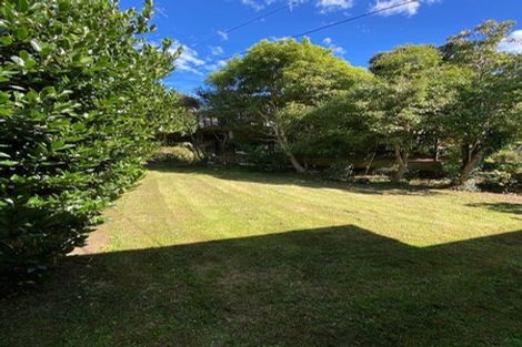 Photo of property in 37 Erin Street, Roslyn, Dunedin, 9010