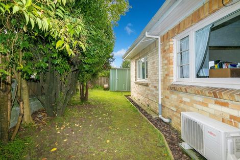 Photo of property in 17 Carey Street, Maeroa, Hamilton, 3200