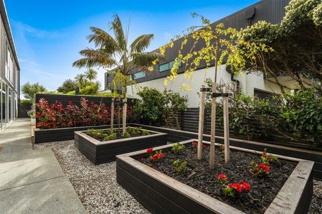 Photo of property in 44 Mangatawhiri Road, Omaha, Warkworth, 0986