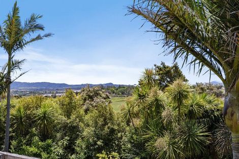 Photo of property in 1683 Tomarata Road, Mangawhai, Wellsford, 0975