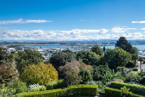Photo of property in 22 Coleman Terrace, Hospital Hill, Napier, 4110