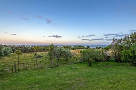 Photo of property in 115 Shelly Beach Road, Shelly Beach, Helensville, 0874