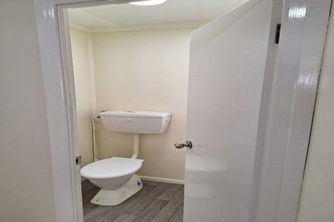 Photo of property in 217 Ferguson Street, Palmerston North, 4410