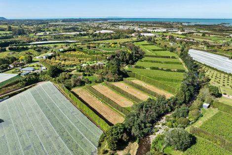 Photo of property in 85 Wharawhara Road, Tahawai, Katikati, 3178