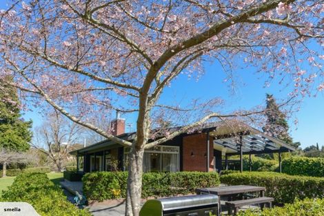 Photo of property in 140 Poraiti Road, Poraiti, Napier, 4182