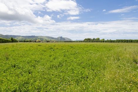 Photo of property in 1344 Back Ormond Road, Ormond, Gisborne, 4071