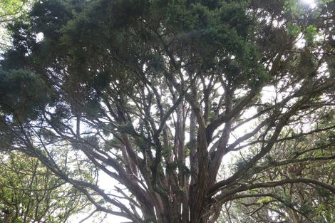 Photo of property in 5 James Road, Huntly, 3771