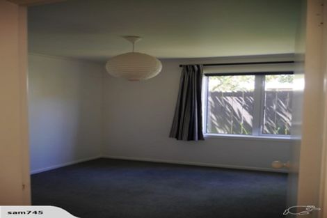 Photo of property in 19 Miro Street, Eastbourne, Lower Hutt, 5013