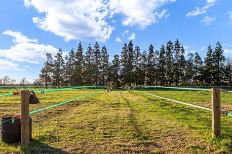 Photo of property in 45 Paetai Road, Ohinewai, Huntly, 3771