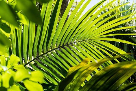 Photo of property in 42 Guildford Drive, Paraparaumu, 5032